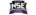 Netshoes E-Sportslogo std.png