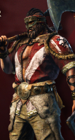 The Berserker - For Honor Wiki