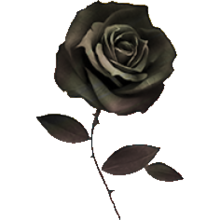 black rose fortnite esports