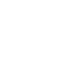Shells 'n' slugs icon.png