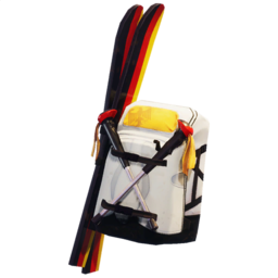 Back Bling9.png