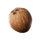 CoconutIcon.png