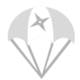 Shinobi icon.png
