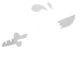 Corrosive blade icon.png