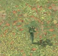 Env celery.jpg