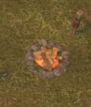 Env campfire.jpg