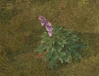 Env wolfsbane.jpg