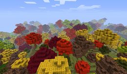 Autumn Woods.jpg