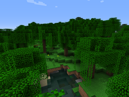 Mini Jungle.png