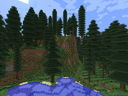 Temperate Rainforest.png
