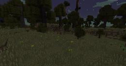Biome Oak Savanna.png
