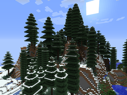 Snowy Rainforest.png