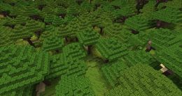 BiomesOPlenty Tropical Rainforest 1.jpg