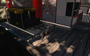 is that a goat