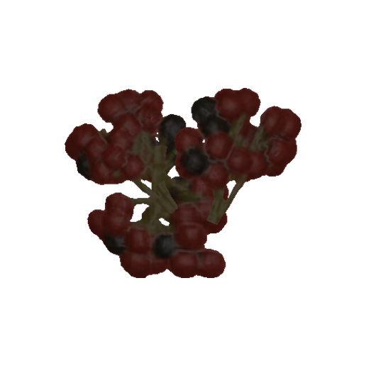 Psychotria Berries Dried Official Green Hell Wiki