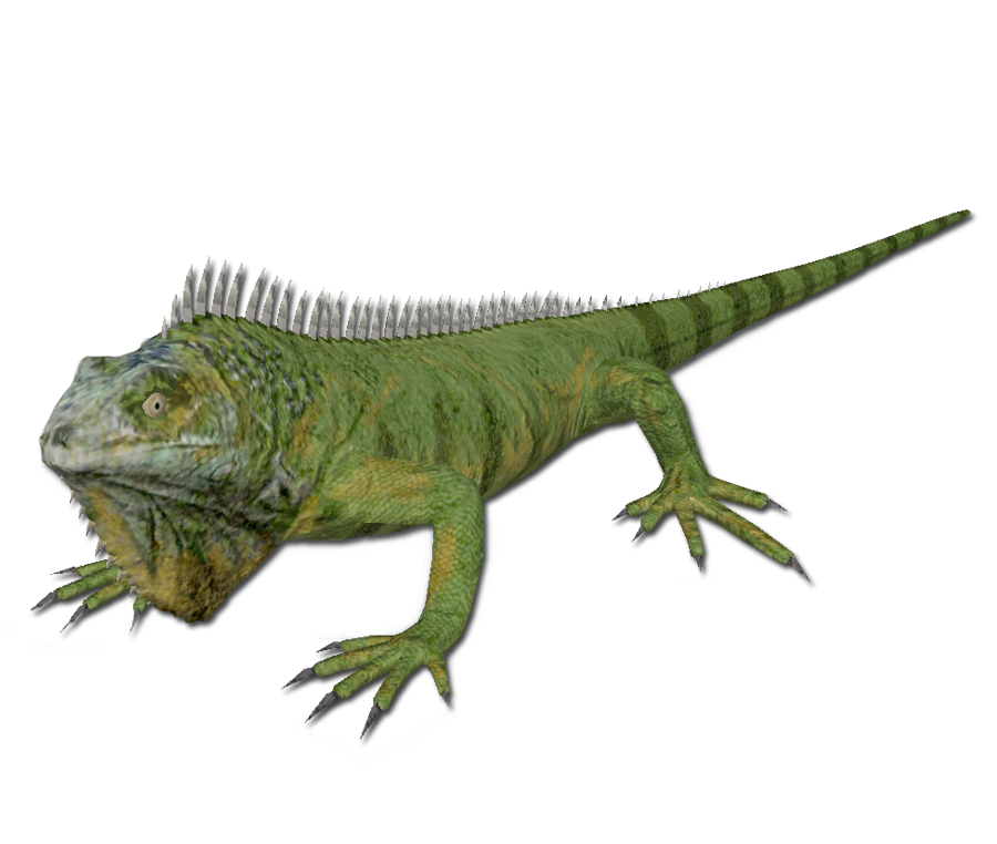 Green Iguana Official Green Hell Wiki