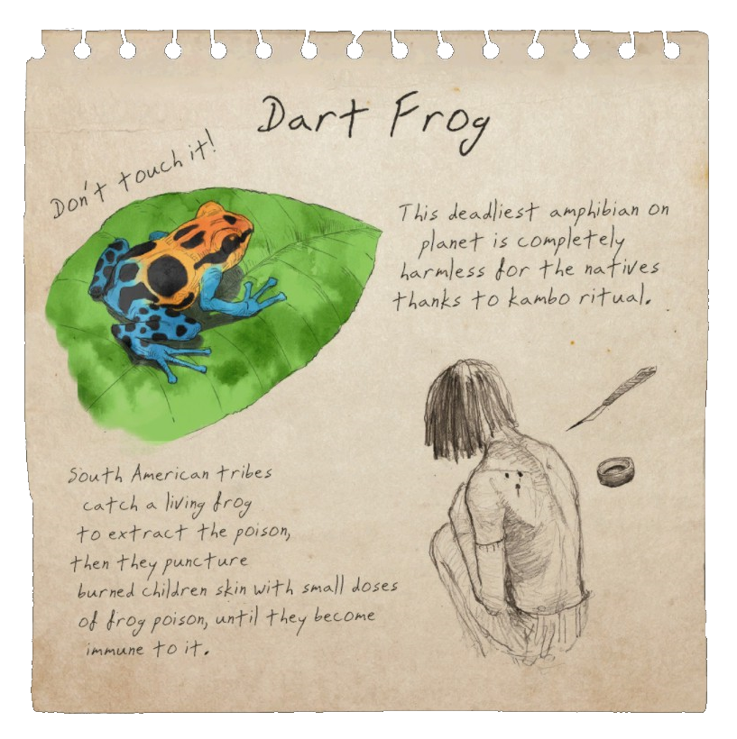 Dart Frog Notebook Page Official Green Hell Wiki