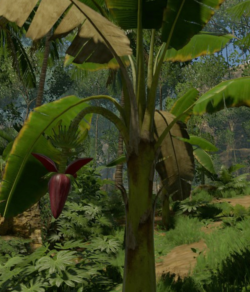Banana Plant Official Green Hell Wiki