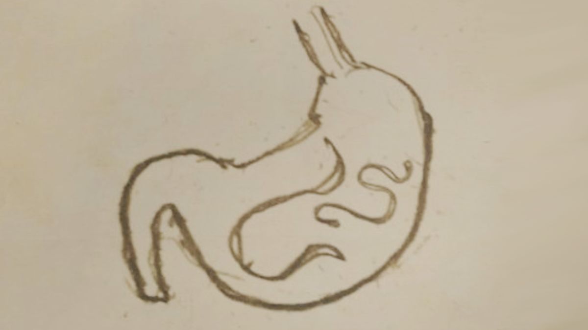 Parasites Official Green Hell Wiki