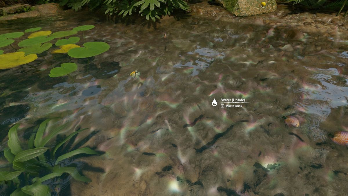 Water Official Green Hell Wiki