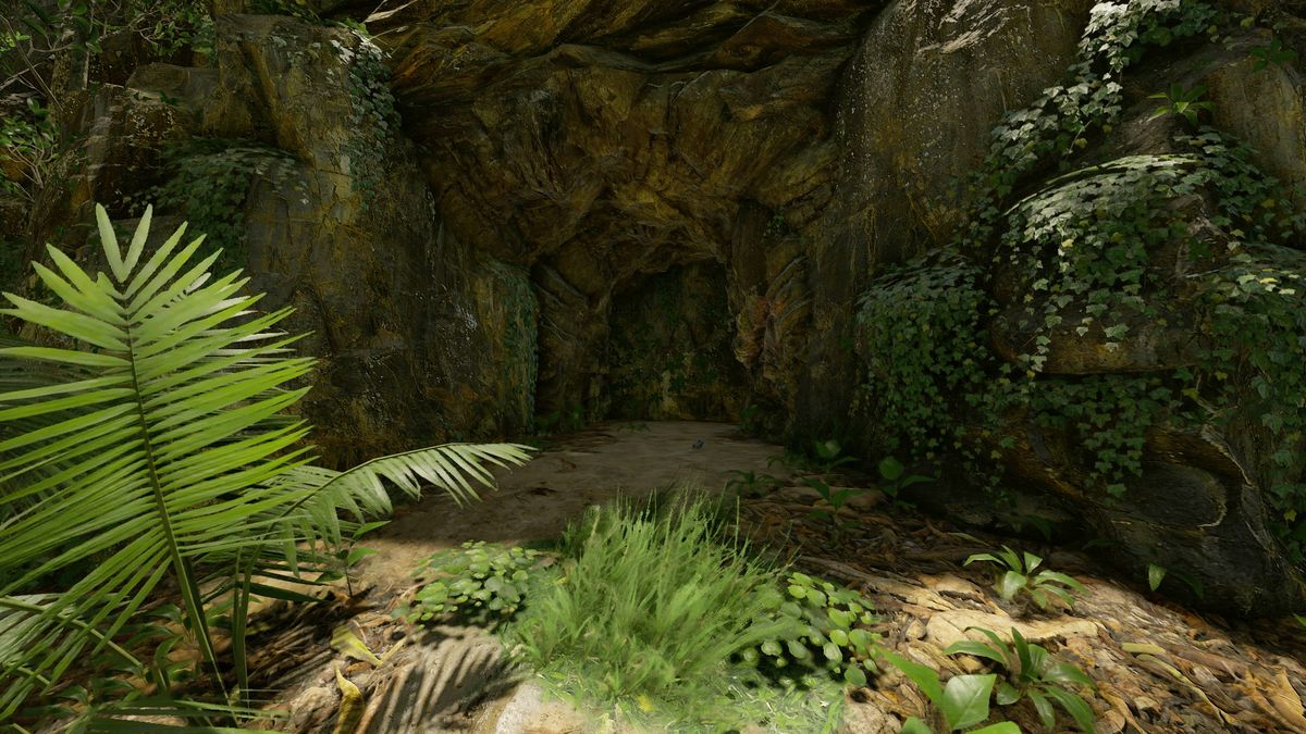 Oasis Cave Official Green Hell Wiki