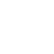 Inspection icon V.png