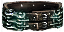 Chains of Ygraad Icon.png