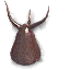 MiniOozeIcon.png