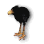 MiniBlackMoaChickIcon.png