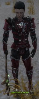 DarkPriestCalmein.jpg