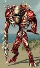 BoneHorror.jpg