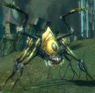 TerrorwebDryder.jpg