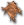 Bolt(s) of Cloth