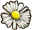Substances White myrtle petals.png