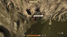 Devil's skull - Kingdom Come: Deliverance Wiki