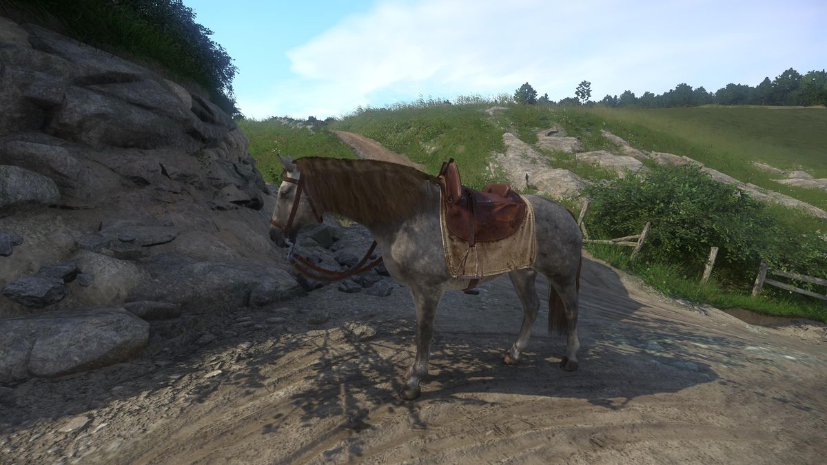 Zora's dappled grey Kingdom Come Deliverance Wiki