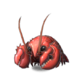 Lobster