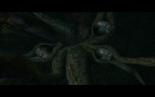 SR2-DC-TheElderWarning-011.png