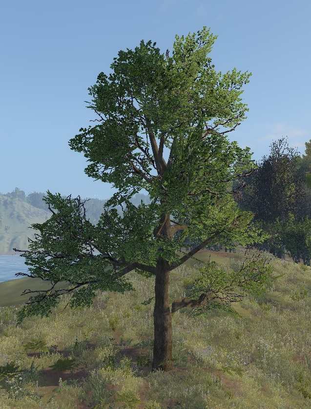 Oak tree official life is feudal wiki