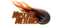 Moscow Meteorslogo std.png