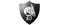 Dragon Teamlogo std.png