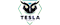 Tesla E-Sportslogo std.png