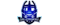Team LatAmlogo std.png