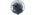 Black Ravenslogo std.png