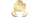 Scorpio Gamelogo std.png