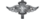 Saint Club Girlslogo std.png