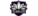 The Black Lotuslogo std.png