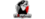 Team GZerologo std.png