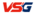 VSG (Korean Team)logo std.png