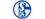 FC Schalke 04 Esports FC Schalke 04 Esports